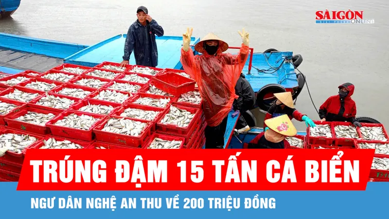 Ngư dân Nghệ An trúng đậm 15 tấn cá biển, thu về 200 triệu đồng