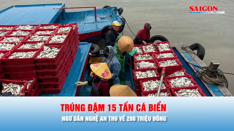 Podcast bản tin chiều 25-2: Ngư dân Nghệ An trúng đậm 15 tấn cá biển, thu về 200 triệu đồng