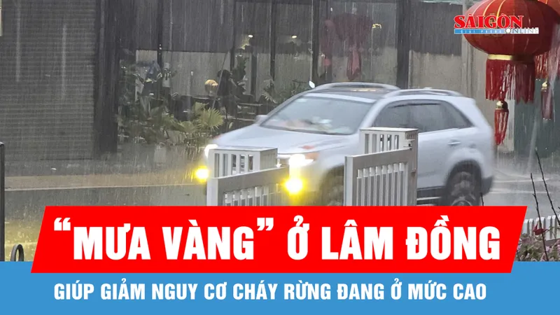 Lâm Đồng xuất hiện “mưa vàng” trên diện rộng