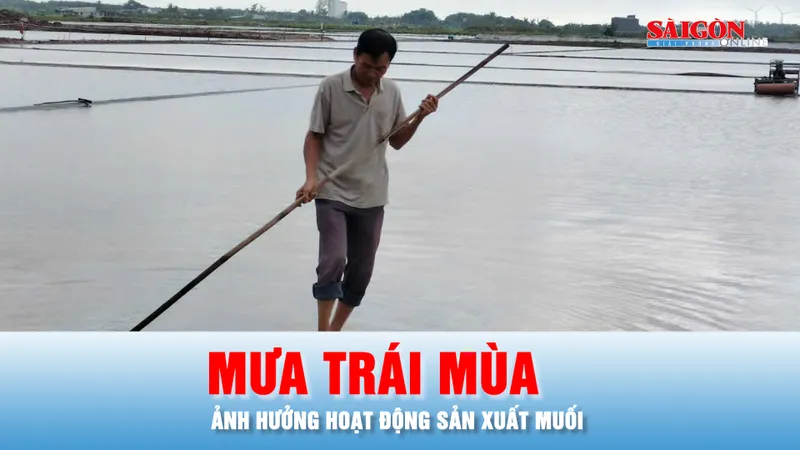 Podcast bản tin tối 27-2: Mưa trái mùa ảnh hưởng hoạt động sản xuất muối