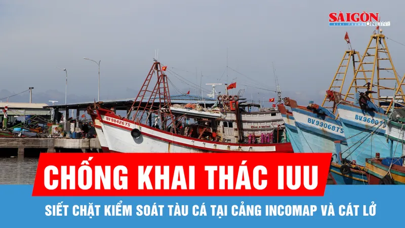 Siết chặt kiểm soát tàu cá tại cảng Incomap và Cát Lở để chống khai thác IUU