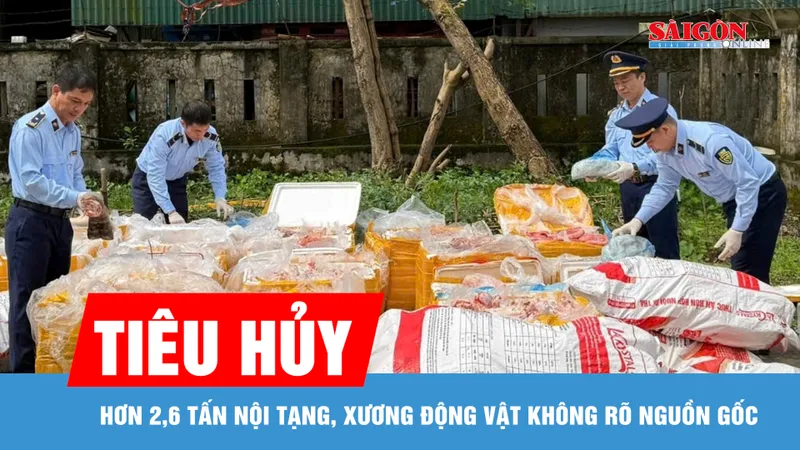 Tiêu hủy hơn 2,6 tấn nội tạng, xương động vật không rõ nguồn gốc