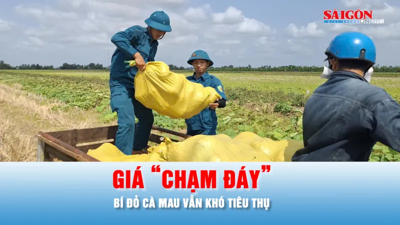 Podcast bản tin tối 18-3: Giá bí đỏ Cà Mau "chạm đáy", thương lái vẫn không đến mua