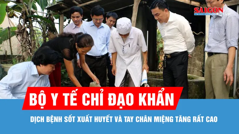 Gần 32.000 ca sốt xuất huyết, Bộ Y tế chỉ đạo khẩn