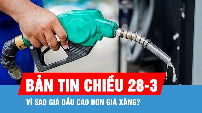 Bản tin chiều 28-3: Vì sao giá dầu cao hơn giá xăng?