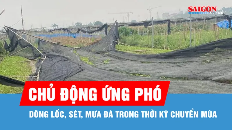 Đề nghị các địa phương chủ động ứng phó mưa đá, dông lốc, sét