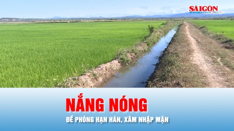 Podcast bản tin chiều 31-3: ĐBSCL bước vào mùa nắng nóng, đề phòng tác động cực đoan