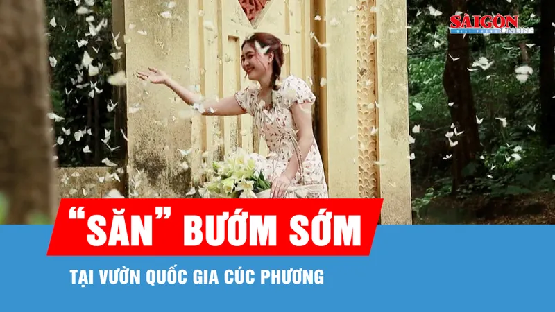 Du khách thích thú săn mùa bướm đến sớm ở Cúc Phương