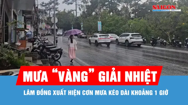 Lâm Đồng: Xuất hiện cơn mưa "vàng" giải nhiệt