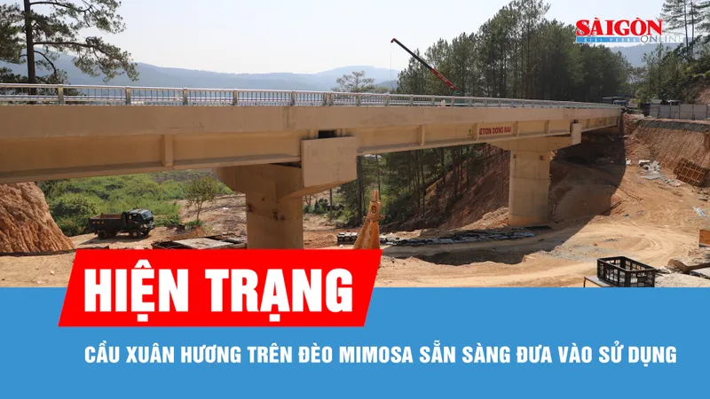 Cận cảnh cầu Xuân Hương trên đèo Mimosa trước khi đưa vào sử dụng