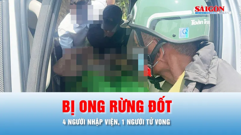 Podcast bản tin tối 15-4: Năm nhân viên bảo vệ rừng ở Gia Lai bị ong đốt, 1 người tử vong