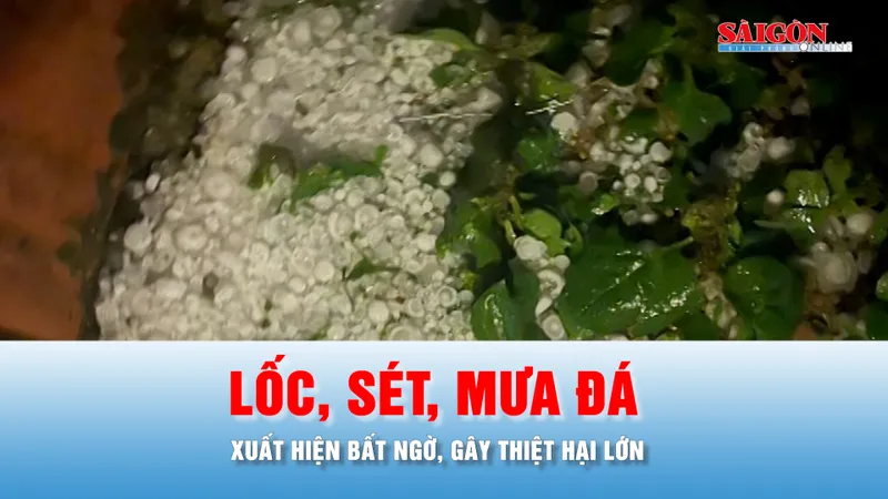 Podcast bản tin trưa 17-4: Hướng dẫn ứng phó với lốc, sét, mưa đá 