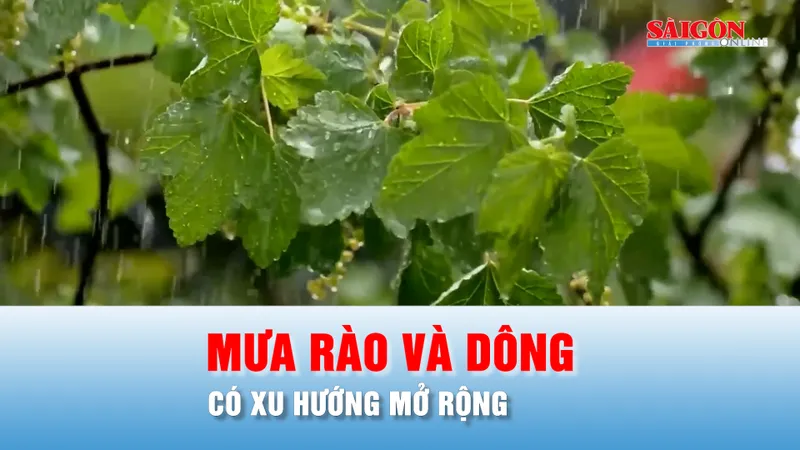 Podcast bản tin tối 23-4: Bắc bộ tiếp tục có mưa rào và dông rải rác