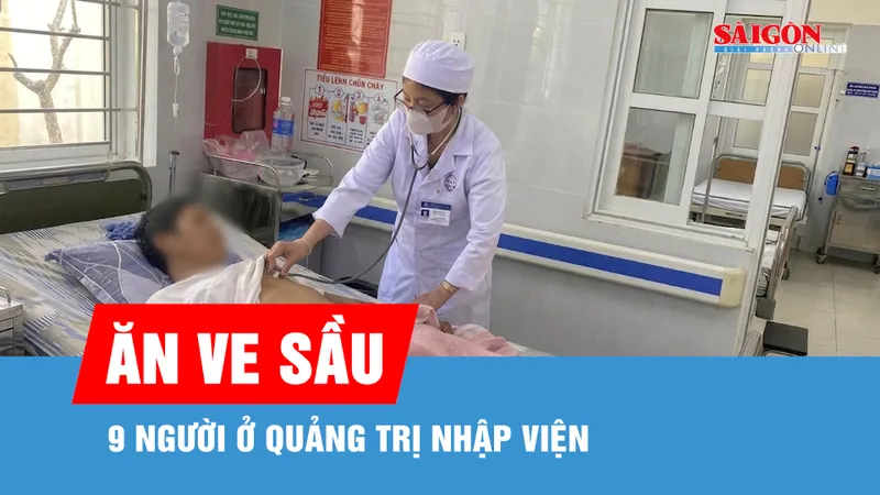Ăn ve sầu, 9 người ở Quảng Trị nhập viện