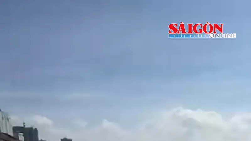 Hiện mỗi ngày 20-50 tấn rong nho trôi dạt, tấp vào bờ biển Bãi Sau (phường Vũng Tàu và phường Tam Thắng, TPHCM). Cơ quan chức năng phải huy động hàng chục công nhân để thu gom, làm sạch.