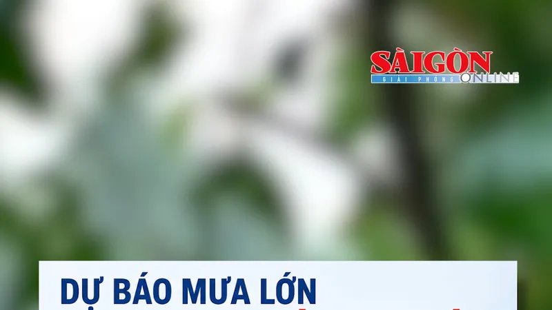 Theo thông tin từ Trung tâm Dự báo khí tượng - thủy văn quốc gia, trong ngày 29-5, khu vực Nam bộ và tỉnh Lâm Đồng đã có mưa, cục bộ có nơi mưa to và dông.