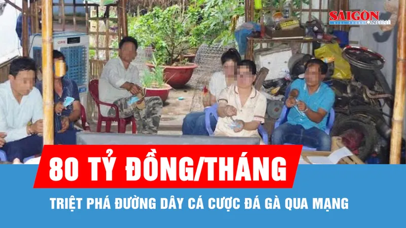 Triệt phá đường dây cá cược đá gà qua mạng, một tháng giao dịch 80 tỷ đồng