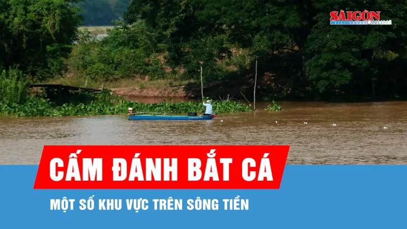 Đồng Tháp: Cấm người dân đánh bắt cá một số khu vực trên sông Tiền