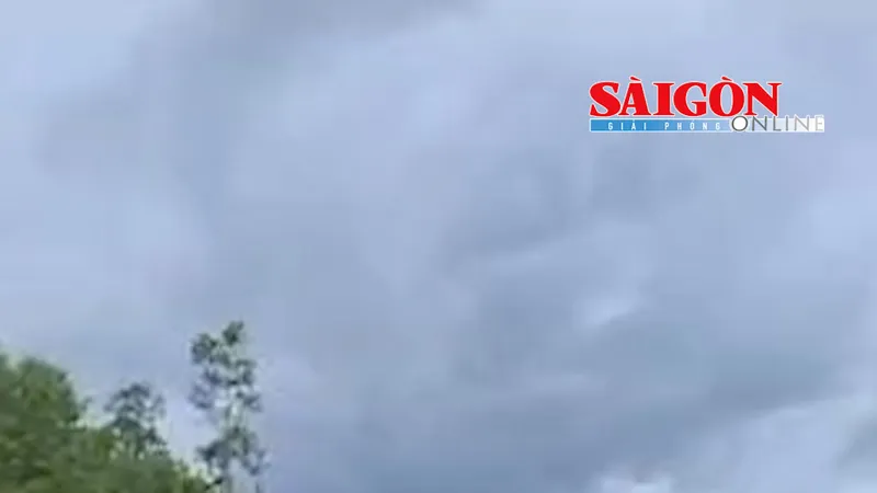 Hiện đang vào mùa mưa bão, tình hình sạt lở bờ biển tại khu vực ĐBSCL đang diễn biến phức tạp, khiến rừng phòng hộ ven biển mất dần, đe dọa cơ sở hạ tầng, khu vực dân cư.