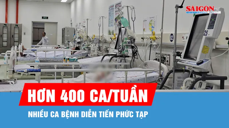TPHCM ghi nhận hơn 400 ca mắc sốt xuất huyết trong một tuần