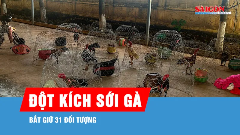 Gia Lai: Đột kích sới gà, bắt giữ 31 đối tượng