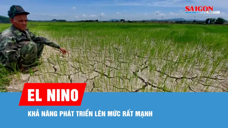 El Nino đã chính thức hình thành, khả năng phát triển lên mức rất mạnh