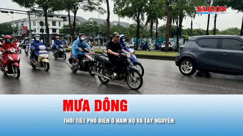 Podcast tin trưa 14-6: Nam bộ tiếp tục mưa dông