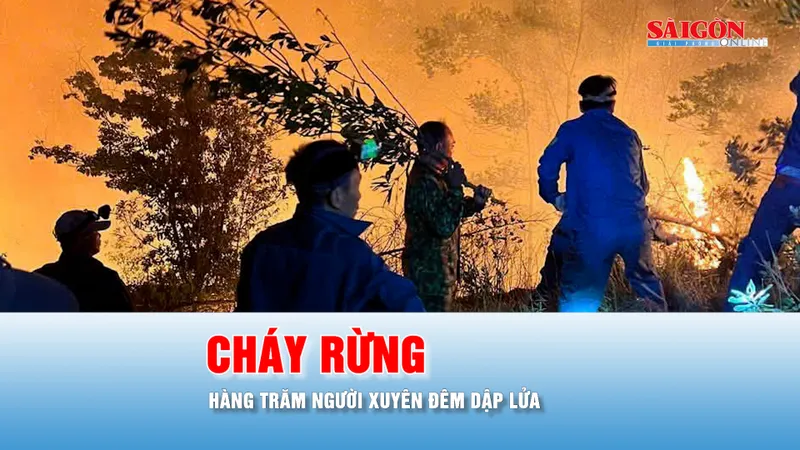 Podcast bản tin trưa 22-6: Hàng trăm người xuyên đêm khống chế cháy rừng ở Nghệ An