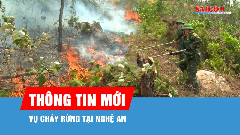 Khống chế vụ cháy rừng tại Nghệ An