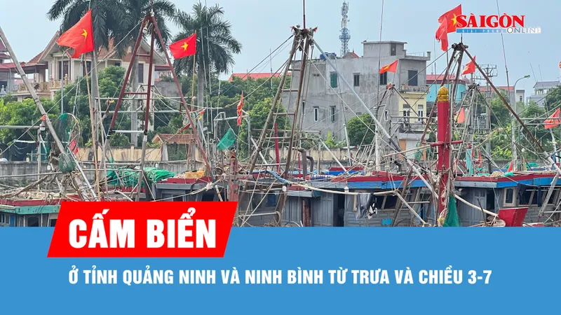 Tỉnh Quảng Ninh và Ninh Bình cấm biển từ trưa và chiều 3-7