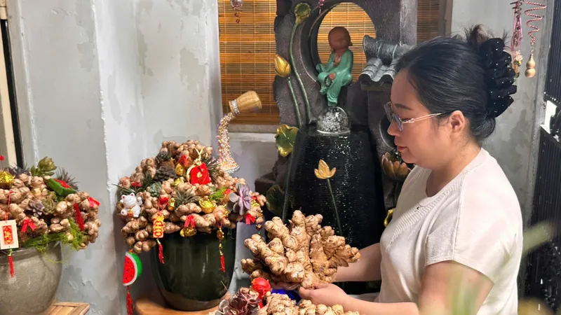 Chị Ánh Dương lựa từng ụ gừng để làm tháp gừng bonsai