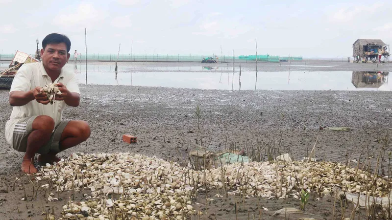 Ngêu chết tràn bãi biển Kiên Giang nghi do nguồn nước bị ô nhiễm. Ảnh: NGỌC CHÁNH