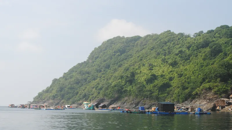 Đề nghị công nhận thị trấn Sông Đốc là thị trấn đảo