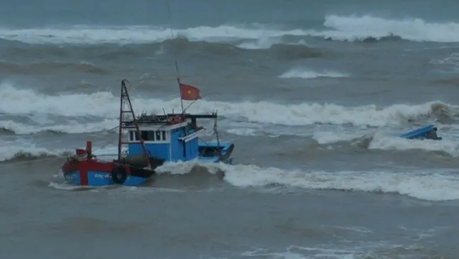 Cà Mau: Cứu sống 7 thuyền viên chìm tàu trên biển