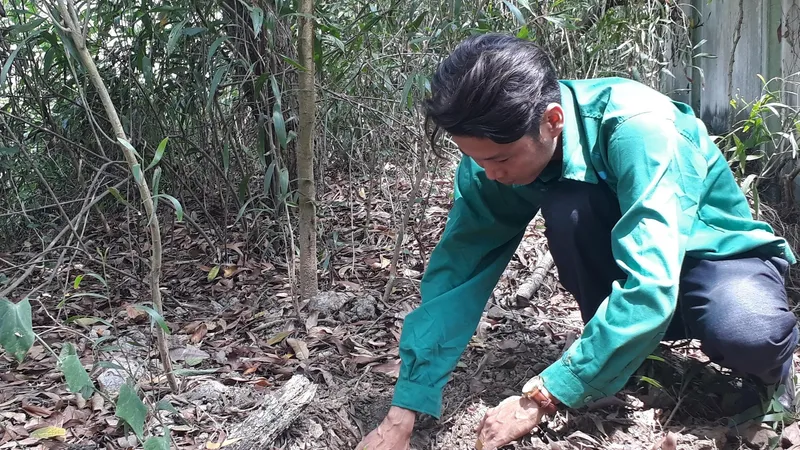 Khu vực được cho là chôn xác thai nhi trong khuôn viên Nhà máy xử lý rác thải TP Cà Mau