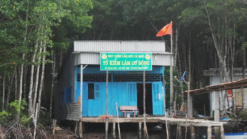 Lập quỹ đen và thanh toán khống tiền tỷ tại VQG Mũi Cà Mau