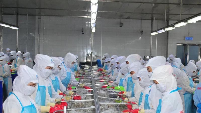 Cà Mau: trên 400 doanh nghiệp được gia hạn nộp thuế, tiền thuê đất