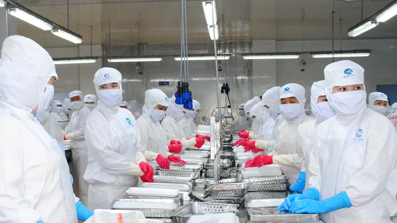 Cà Mau xuất khẩu đạt 1,1 tỷ USD