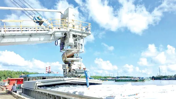 Cà Mau: Xuất khẩu phân bón tăng trưởng mạnh