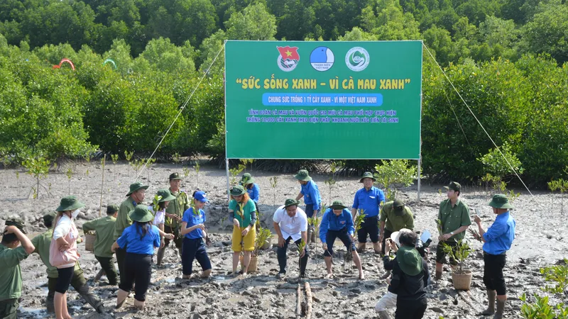 Cà Mau: Khởi động Tháng thanh niên, trồng 3.000 cây đước tại Mũi Cà Mau