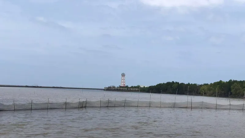 Khu vực người dân tự ý bao chiếm để nuôi sò huyết 