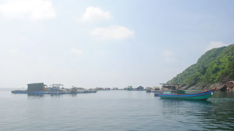  Cà Mau: Thành lập khu bảo tồn biển 27.000ha