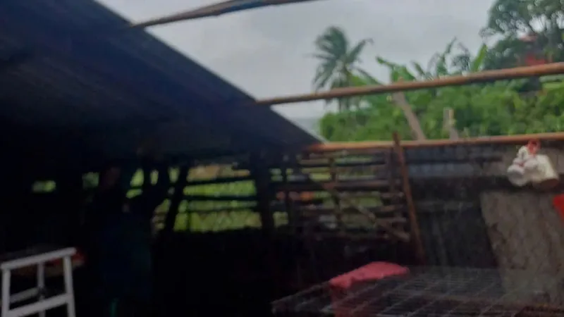 Bạc Liêu: Nhanh chóng hỗ trợ các hộ gia đình bị thiệt hại do dông lốc