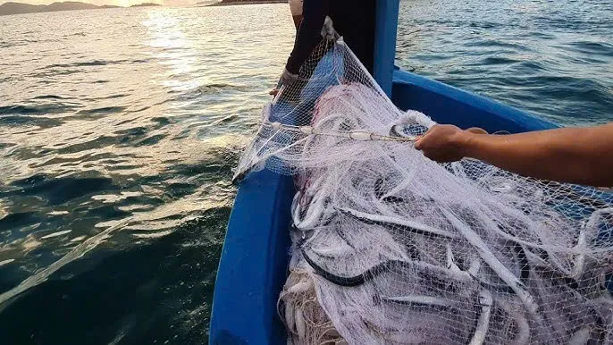 Cà Mau: Thanh niên bị dây lú kéo xuống biển tử vong khi đánh bắt hải sản
