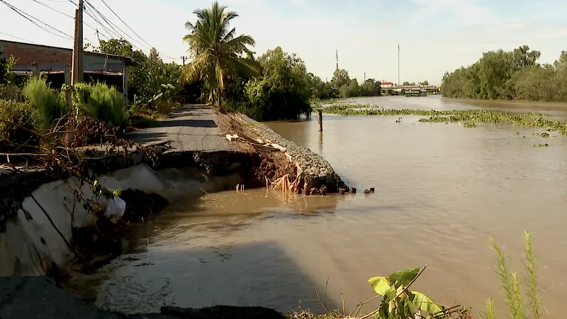 ĐBSCL: Khẩn trương ứng phó sạt lở, bảo vệ an toàn người dân