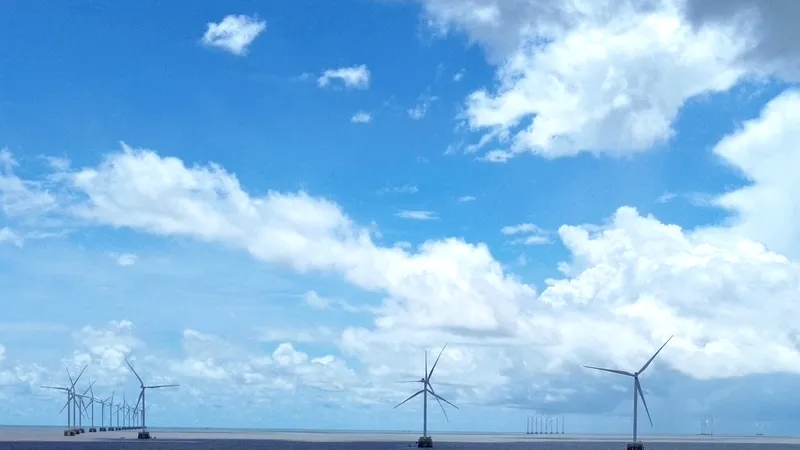 Với bờ biển dài hơn 310km, tỉnh Cà Mau có nhiều tiềm năng phát triển năng lượng tái tạo (điện gió), hướng đến xuất khẩu điện sang các nước lân cận
