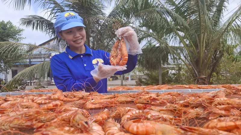 ĐBSCL: Nhộn nhịp sản xuất khô cá, tôm dịp Tết
