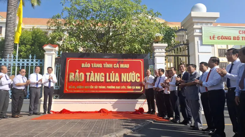 Cà Mau thành lập Bảo tàng Lúa nước, xây dựng biểu tượng ba hạt lúa cao 18m