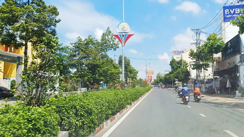Tuyến đường Nguyễn An Ninh, TP Dĩ An vừa trồng mới hàng loạt cây mai tứ quý, tạo cảnh quan đô thị 