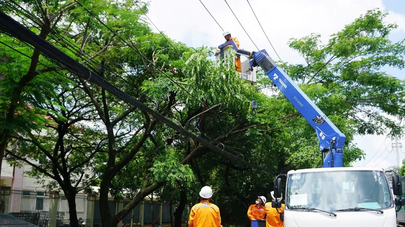 Nhân viên ngành điện TPHCM xử lý mé nhánh cây xanh để đảm bảo an toàn điện trong mùa mưa, bão